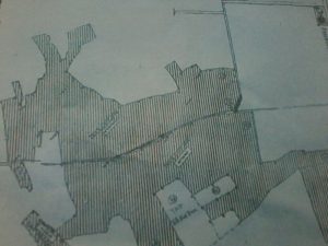 IMG-20170221-WA0007